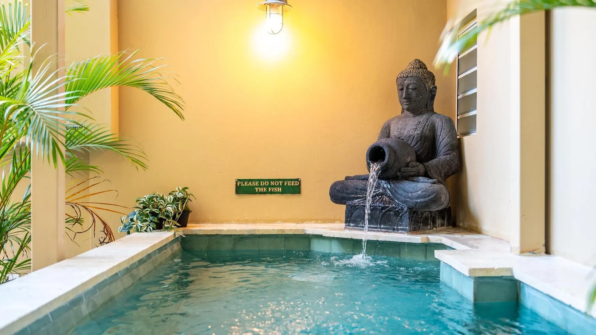 Ayana Inn Pr سان خوان